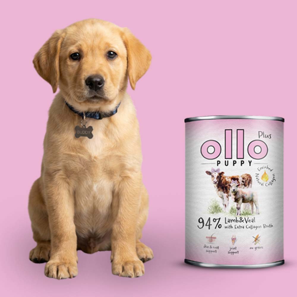 Ollo Plus Kolagen karma mokra dla szczeniąt Jagnięcina z Cielęciną 400g