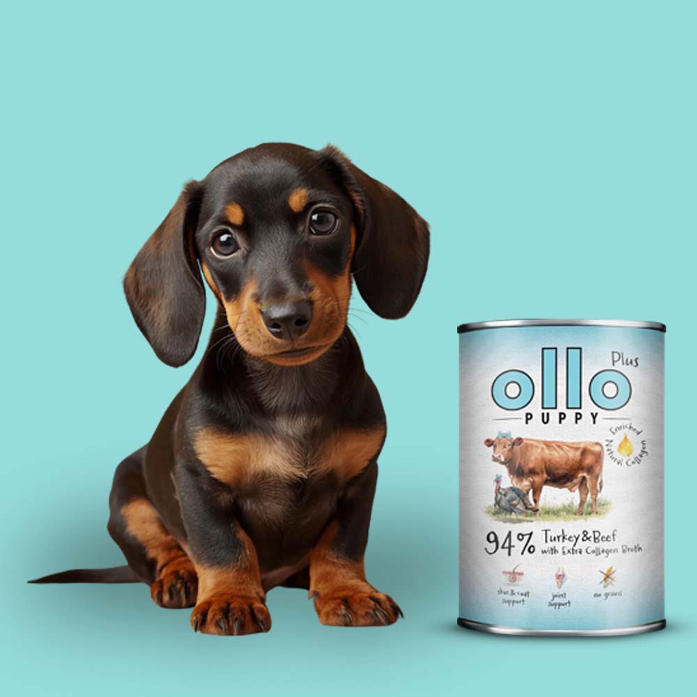 Ollo Plus Kolagen karma mokra dla szczeniąt Indyk i Wołowina 400g