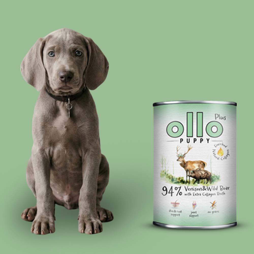 Ollo Plus Kolagen karma mokra dla szczeniąt Jeleń i Dzik 400g