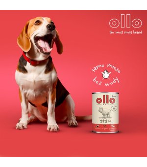 Ollo Pure karma mokra dla psów dorosłych Wieprzowina ZESTAW 6x 850g