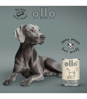 Ollo Pure karma mokra dla psów dorosłych Koń Adult ZESTAW 6x 400g