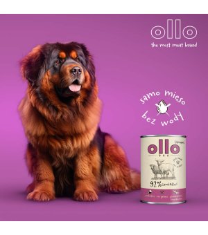 Ollo Umami Adult karma mokra dla psów dorosłych Jagniecina i Wołowina 400g