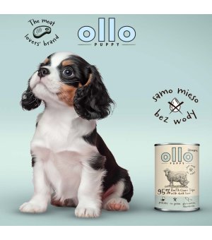 Ollo Umami Puppy karma mokra dla szczeniąt Wołowina i Żwacze 400g
