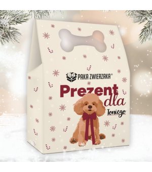 🎄🎁 Paka Zwierzaka BOX ŚWIĄTECZNY 2025