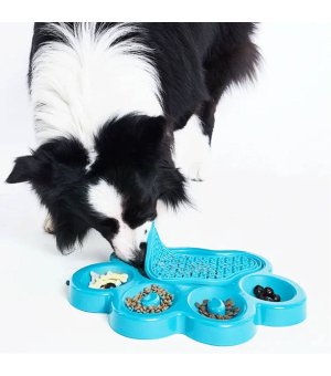 PDH PAW 2-IN-1 BLUE EASY