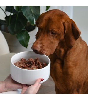 PEPE VET Karma mokra dla psa Hypoallergenic Horse - Konina 400g