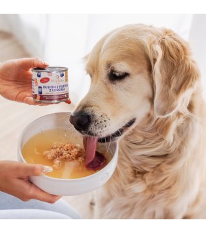 PERROland Soups Bulion z Filetem z Łososia dla psa i kota 140g
