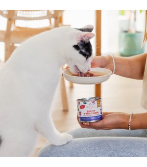 PERROland Soups Bulion z Wołowiną dla psa i kota 140g