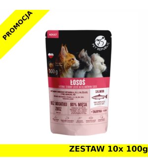 Pet Republic karma mokra dla kota drobno siekany Łosoś w sosie ZESTAW 10x 100g