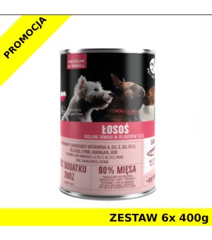 Pet Republic karma mokra dla psa kawałki w sosie z łososiem ZESTAW 6x 400g