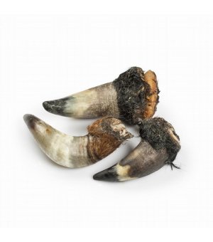 PETMEX Rogi Wołowe z futrem 1kg