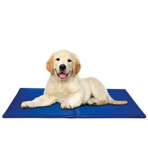 PetNova Mata Chłodząca dla Psa 90x50cm niebieska