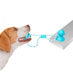 PETNOVA PIŁKA DENTAL Z PRZYSSAWKĄ NA SZNURKU 7CM