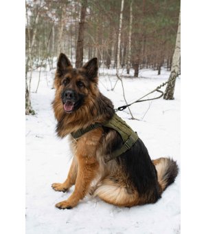 PETNOVA Smycz Tactic moro - 2,5cm x 100-140cm