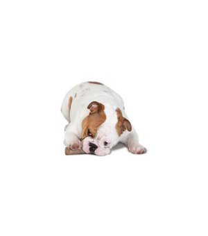 PETSTAGES Dogwood patyk S - 13cm
