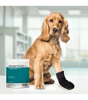 Polisept VET But ochronny 1szt. - rozmiar L