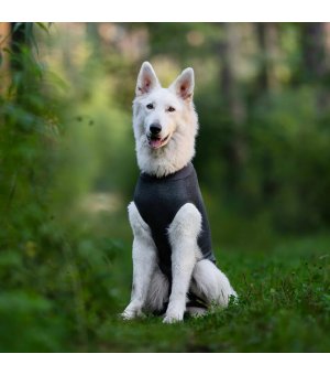 Polisept VET Ubranko pooperacyjne - rozmiar XS