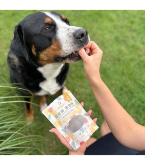 Przysmaki - wsparcie odporności - Jagnięcina - Perro BON BON - 80g