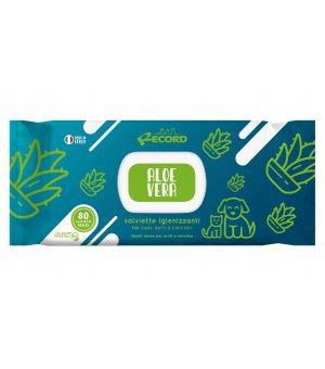 Record Chusteczki Nawilżane Aloesowe 40szt.