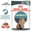 Royal Canin Hairball Care  85g