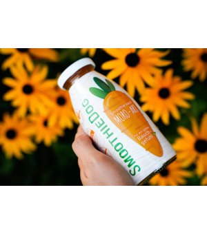 SmoothieDog Moro-ART - Zupa Marchewkowa Moro 250ml