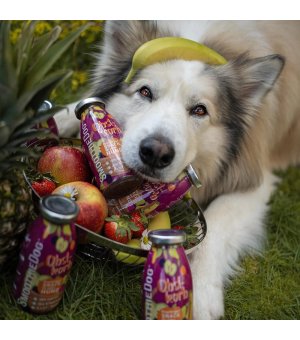 SmoothieDog Obstkorb - owocowe smoothie 250ml