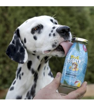 SmoothieDog Pool Pawty Królik z warzywami i owocami 250ml