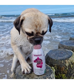 SmoothieDog Sensitivo Konina - smoothie dla psa z alergią pokarmową konina 250ml