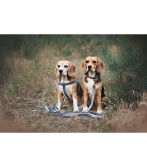 Smycz 6in1 Denim S 100-200cm niebieski