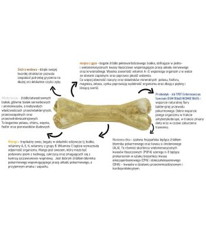 Syta Micha Kość do żucia z probiotykiem 13,5cm