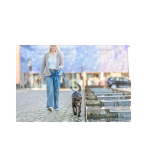 Trixie Easy Life Grip - smycz do tropienia PCV S-M, 5m/13mm niebieska