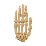 👻🕷 Trixie HALLOWEEN Przysmak dla psa Ręka 70g 1szt.