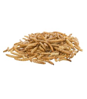 Trixie Larwy Mącznika Suszone 200g