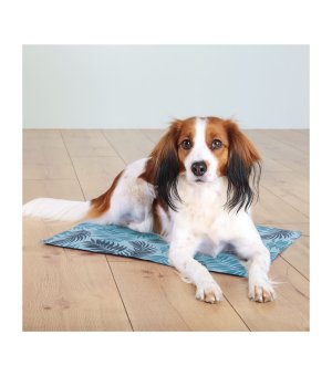 TRIXIE mata chłodząca dla psa 40x30 cm - jasnoniebieska w liście
