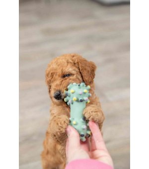 TRIXIE Mini Hantel Junior lateks 10cm