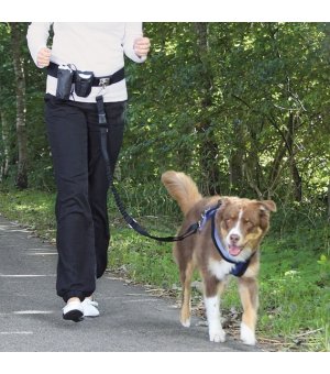 Trixie Pas biodrowy i Smycz Hands Free - zestaw do dogtrekkingu 