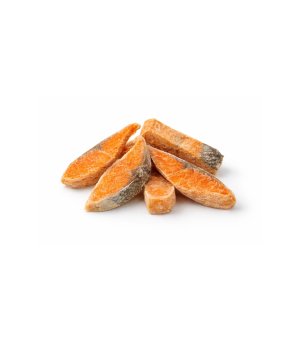 Trixie Pausesnack Liofilizowany Filet z Łososia 50g