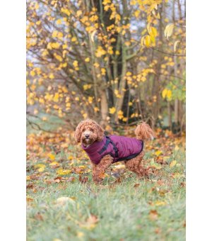 TRIXIE płaszczyk PIROU z szelkami Sangria XS 27cm