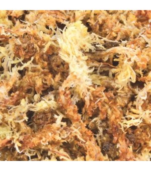 Trixie Podłoże Sphagnum 4,5L/100g