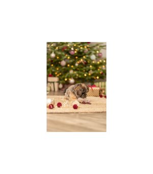 🎄🎁 TRIXIE Xmas Donut Łoś szary plusz 14cm