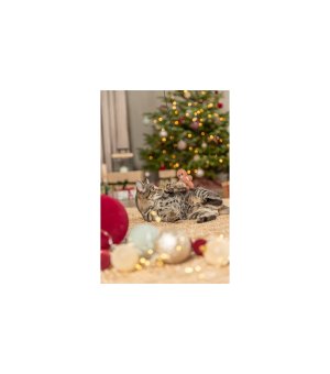 🎄🎁 TRIXIE Xmas Wędka piernikowy ludzik dla kota drewno z kocimiętką 46cm