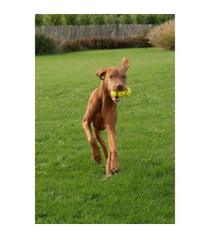 Trixie Zeus Nitro Grip Ball zabawka z gumowym rdzeniem 12,4cm