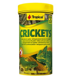 TROPICAL CRICKETS 100ML/10G TERMIN 10.2024