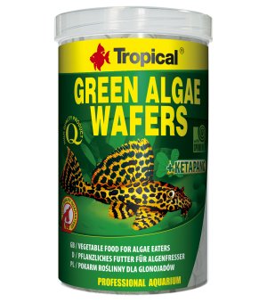 TROPICAL GREEN ALGAE WAFERS 250ML/113G
