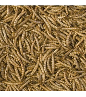 TROPICAL MEAL WORMS 250ML/30G