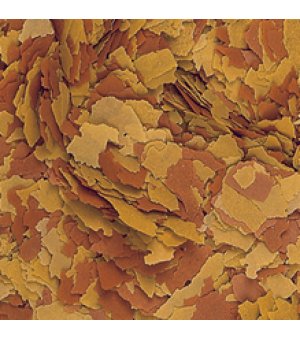 TROPICAL VITALITY & COLOR 12G - SASZETKA termin 02.2025