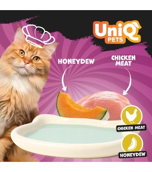 UNIQ PETS Delight Shake kremowy shake dla kota - Kurczak z Melonem 60g