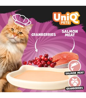UNIQ PETS Delight Shake kremowy shake dla kota - Łosoś z Żurawiną 60g