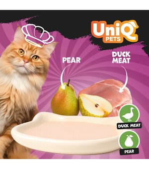 UNIQ PETS Delight Shake kremowy shake dla kota - Kaczka z Gruszką 60g