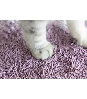 UNIQ PETS Żwirek Tofu Biodegradowalny Lawenda - 12L